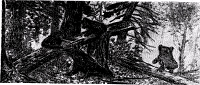 По картине Шишкина „Утро в лесу